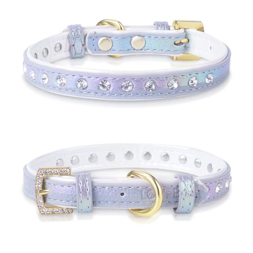 LOVPE Hundehalsband, Leder, mit Nieten, glamouröser Strass, goldfarbene Schnalle, Zubehör für kleine bis mittelgroße Hunde, Katzen, Mädchen und Jungen, Welpen, Kätzchen (XS, Grau) von LOVPE