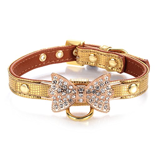 LOVPE Lederhalsband mit Ring für kleine Hunde, Katzen, Welpen und Kätzchen, goldfarben von LOVPE