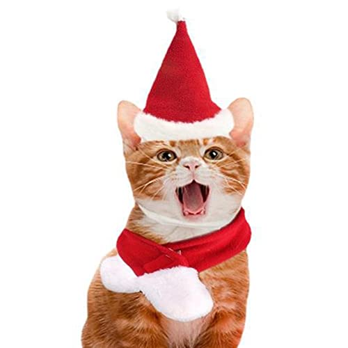 LOXE Haustier Katze Hund Weihnachtsmütze mit Schal | Verstellbare Weihnachtsmütze für Haustiere und roter Strickschal für Haustiere | Hund Winter Halswärmer Schal, Weihnachtsfeier Dressup von LOXE