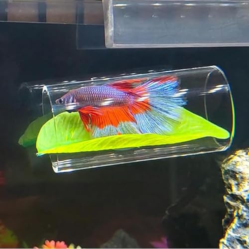 Betta-Tunnel für Aquarien, Blätter-Pad Betta Fish Ruherohr Acrylrohr-Anreicherung, Betta-Tunnel, Betta Ruhetunnel, Schwimmschlauch, multifunktionale Betta-Aquarium-Dekorationen, Unterschlupf, Verste von LPORF