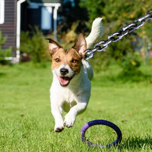 Kettenleinen Für Große Hunde | Haustierleinen Für Hunde | 2M/6,56 Ft Welpenketten Wasserdichte Lange Hundeleinen | Stoßdämpfende Hundeleine | Lustige Welpenhausleinen | Hundetrainingsleinen Für Den Au von LPORF