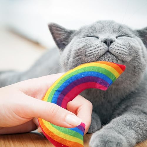 Regenbogen-Katzenspielzeug - Katzenminze-Spielzeug für Katzen, Plüsch-Regenbogenkissen, Buntes Regenbogen-Katzenminze-Spielzeug mit Katzenminze, Kätzchen-Beiß- und Kauspielzeug, Innen- und Außenkissen von LPORF