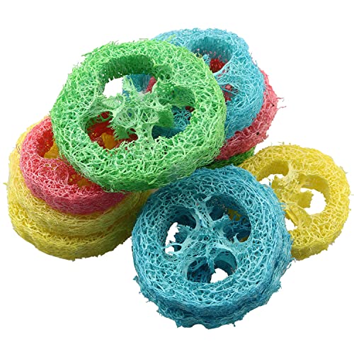 LQ Industrial Kauspielzeug für Haustiere, 6 cm, für Kaninchen, Haustierzahn, Kauspielzeug, organisch, natürliches Luffa-Kauspielzeug, handgefertigtes Material, Ratten, 10 Stück von LQ Industrial