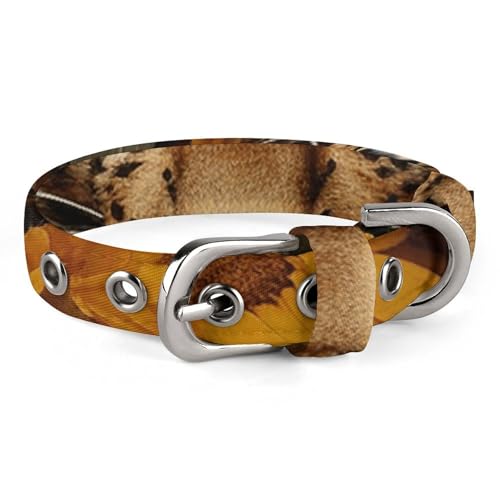 Haustier-Halsband, Leoparden- und Sonnenblumen-Druck, ganzjährig, weiches Haustierhalsband, niedliches Haustierhalsband, leichtes Haustierhalsband, stilvolles Hundehalsband von LQPMNK