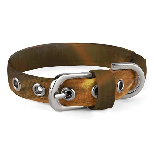 Haustierhalsband, Berg, Sonnenaufgang, Landschaft, Druck, ganzjährig, weiches Haustierhalsband, niedliches Haustierhalsband, leicht, stilvolles Hundehalsband von LQPMNK