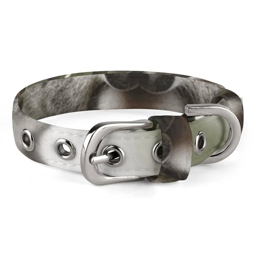 Haustierhalsband, Koala-Druck, Ganzjahres-Haustier-Halsband, weiches Haustierhalsband, niedliches Haustierhalsband, leichtes Haustierhalsband, stilvolles Hundehalsband von LQPMNK