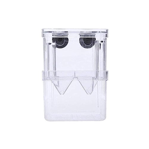 Große Acryl Fisch Zucht Box Aquarium Züchter Box Schlüpfen Isolierung Aquarium S/L Liefert Pet Guppies Inkubator Doppel V9P5 von LQQDREX