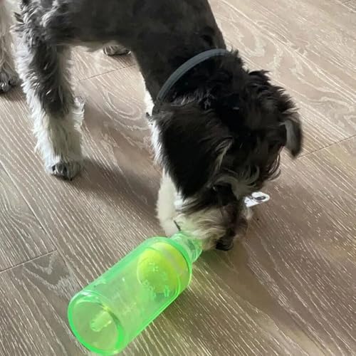 LQQDREX Crunch Play Bottle Toy, Bottle Chew Toys for Dogs, Interactive Toys for Dogs, Dog Toy Water Bottle Cruncher, Plastic Bottle Toys for Dogs, Interactive Toys for Dogs, Interactive Toys von LQQDREX
