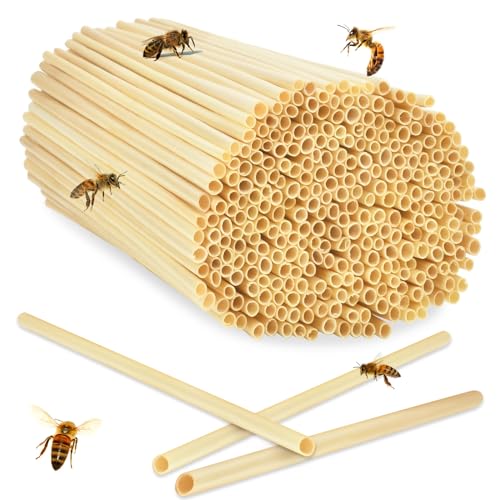 Niströhren für Wildbienen 300 Stück 20 cm Länge Nisthülsen Insektenhotel Füllmaterial Weizenhalme Nisthilfen Bienen Röhrchen DIY Bienenhotel Bausatz (300 Stück, 20 cm) von LQTSLFM