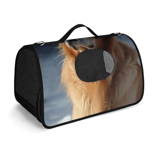 Haustier-Handtaschen, Golden Retriever, bedruckte Haustier-Handtaschen, faltbare Haustier-Handtaschen, universelle Haustier-Handtaschen von LQWOK