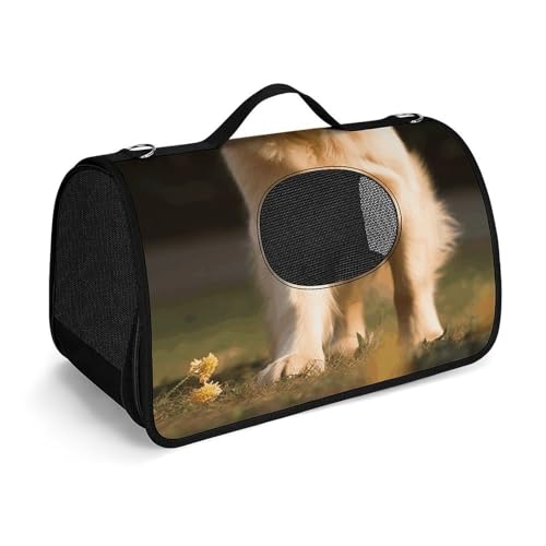 Haustier-Handtaschen, Golden Retriever Hund, bedruckte Haustier-Handtaschen, faltbare Haustier-Handtaschen, universelle Haustier-Handtaschen von LQWOK