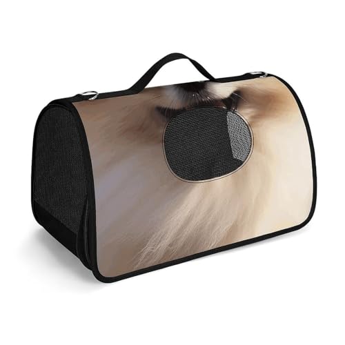 Haustier-Handtaschen, Happy Pomeranian bedruckte Haustier-Handtaschen, faltbare Haustier-Handtaschen, universelle Haustier-Handtaschen von LQWOK