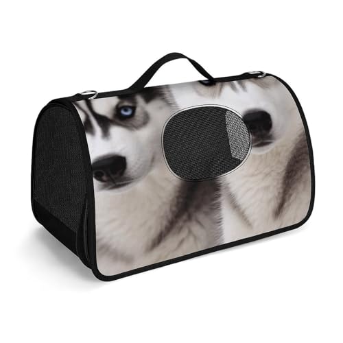 Haustier-Handtaschen, Husky-Hund, bedruckte Haustier-Handtaschen, faltbare Haustier-Handtaschen, universelle Haustierhandtaschen von LQWOK