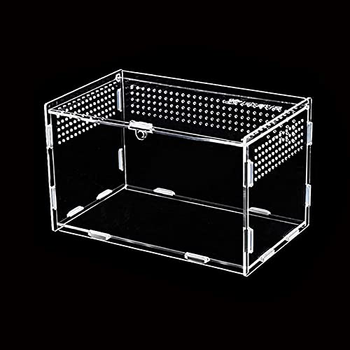 LSRVNM Acrylic Reptil Fütterungsbox, Mini Reptilien Zuchtbox, Lebensraum Terrarium, Transparent Transportbox, für Spide, Eidechse, Skorpion, Tausendfüßler, Gehörnter Frosch, Käfer, Anti-Flucht Design von LSRVNM