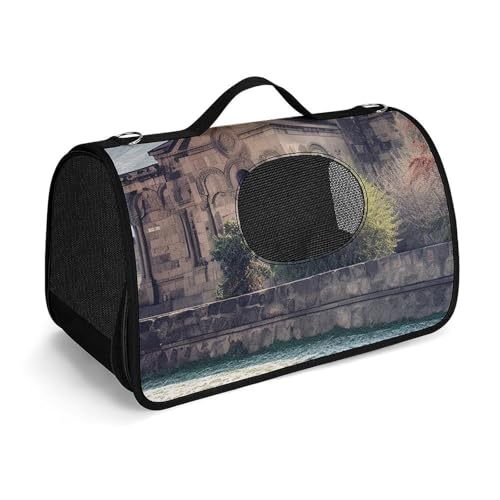 Haustier-Handtasche, armenische Kirche, bedruckt, tragbar, für den Außenbereich, Katzentasche, Geldbörse, kleine Hundetrage für Reisen/Auto/Outdoor von LSWQK