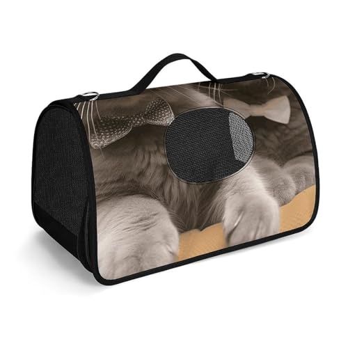 Haustier-Handtasche, lustige Katzen, bedruckt, tragbar, für den Außenbereich, Katzentasche, Geldbörse, kleine Hundetrage für Reisen/Auto/Outdoor von LSWQK