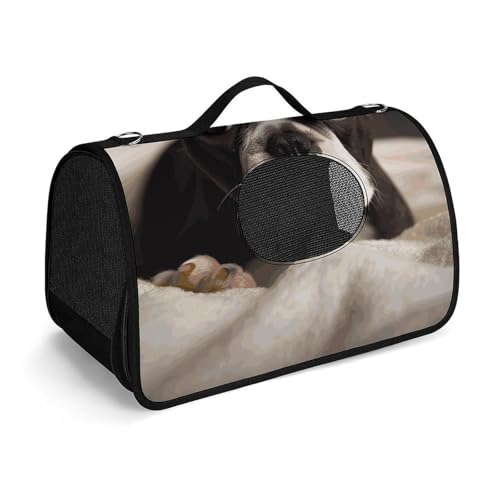 Haustier-Handtasche, niedlicher Boston Terrier, bedruckt, tragbar, für den Außenbereich, Katzentasche, Geldbörse, kleine Hundetrage für Reisen/Auto/Outdoor von LSWQK