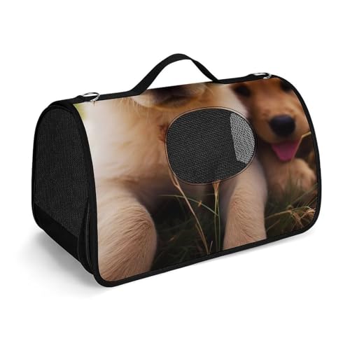 Haustier-Handtasche, niedlicher Golden Retriever, Welpe, bedruckt, tragbar, für den Außenbereich, Katzentasche, Geldbörse, kleine Hundetrage für Reisen/Auto/Outdoor von LSWQK