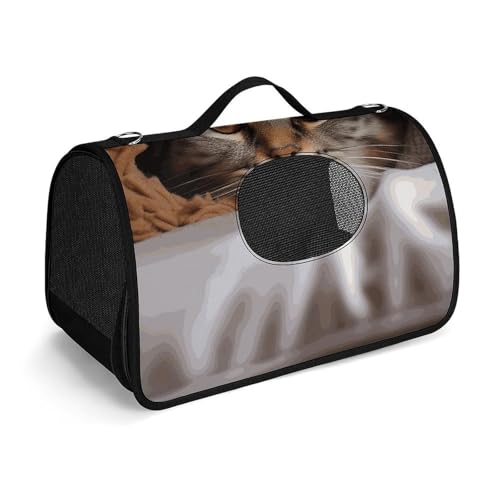 Haustier-Handtasche für Katzen, unter Decke, bedruckt, tragbar, für den Außenbereich, Katzentasche, Geldbörse, kleine Hundetrage für Reisen/Auto/Outdoor von LSWQK