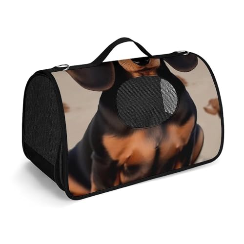 Haustierhandtasche mit Dackel-Motiv, tragbar, für den Außenbereich, Katzentasche, Geldbörse, kleine Hundetrage für Reisen/Auto/Outdoor von LSWQK