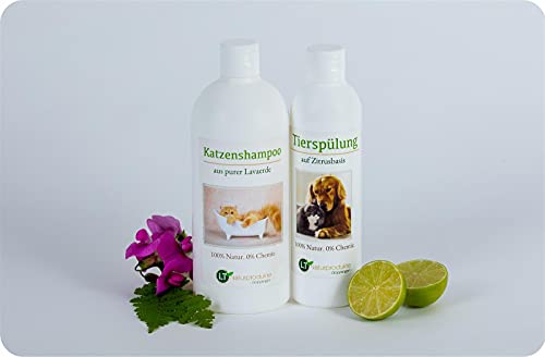 Pflegeset für Katzen | MAXI Sparset mit Shampoo & Pflegespülung | sanfte Fellpflege ohne Chemie & Seife | gegen Juckreiz | hypoallergen | 500 ml & 250 ml | neuer Glanz für Kurz- und Langfell von LT-Naturprodukte