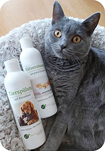 Pflegeset für Katzen | Shampoo & Pflegespülung | sanfte Fellpflege ohne Chemie & Seife | gegen Juckreiz | hypoallergen | mit original marokkanischer Lavaerde | 2x 250 ml | für Kurz- und Langfell von LT-Naturprodukte