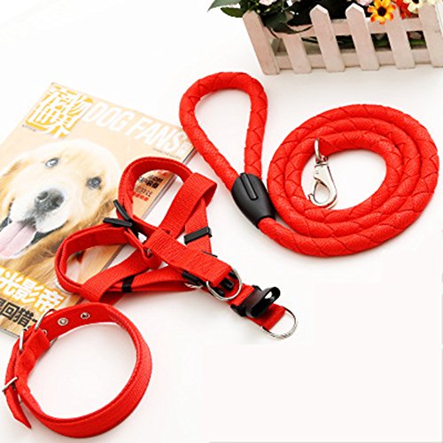 LTLCLZ Haustier Leine Halsband Halsband Hund Kette Brustgurt Mittelgroße Kleine Hund Hund Dreiteilige Seil von LTLCLZ