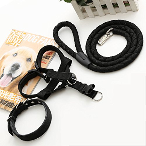 LTLCLZ Haustier Leine Halsband Halsband Hund Kette Brustgurt Mittelgroße Kleine Hund Hund Dreiteilige Seil von LTLCLZ