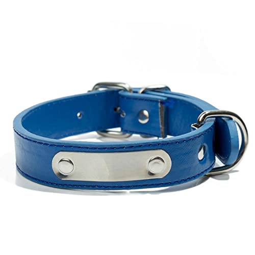 Personalisiert Gepolstertes Hundehalsband aus Leder Eingraviertem Hundename und Telefonnummer mit individuellem ID-Etikett,Für kleine und mittelgroße und große Hunde geeignet,XS(21-26CM) von LTSLZO