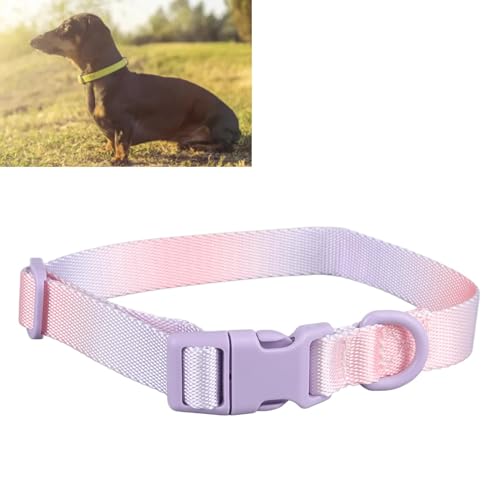 Hundehalsband, modisches, buntes Hundehalsband, verstellbares Hundehalsband, widerstandsfähig, bequemes Haustierhalsband aus Polyester für die Dekoration im Freien (Lila Rosa) von LTSQIN