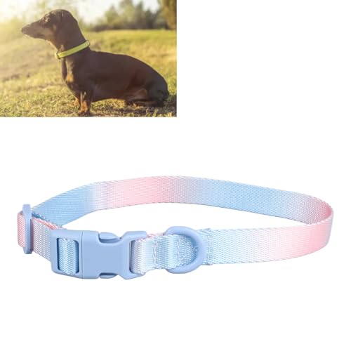 Hundehalsband, modisches, buntes Hundehalsband, verstellbares Hundehalsband, widerstandsfähig, bequemes Haustierhalsband aus Polyester für die Dekoration im Freien (Rosa Blau) von LTSQIN