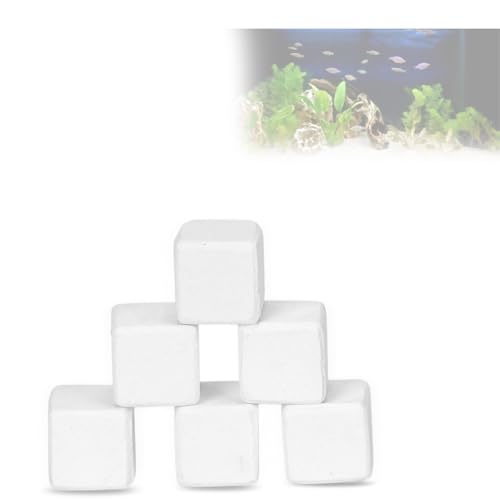 LTSQIN 6PCS Mineral Rocks für Aquarium, Aquarium Calcium Stein Kalziumstein für Aquarium Schildkröten Kalziumstein Aquarium Kaustein Spielzeug für Reptilien für Aquarium Gelöst in Wasser Zum Trinken von LTSQIN