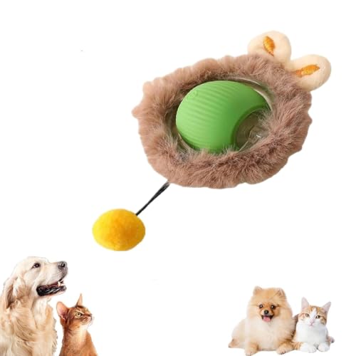 Chewie Rolling Ball, Interactive Cat Toys Rolling Ball Chewie Dog Ball, Interaktives Hunde Ball Spielzeug, 360° Selbstdrehender beweglicher Ball für Katzen, Interaktives Katzenspielzeug Ball (Grün-B) von LUCKKY