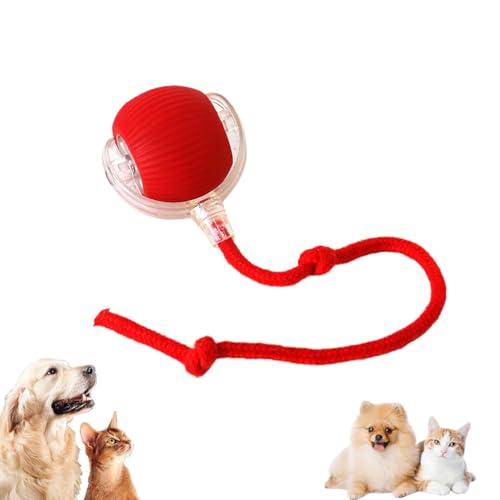 Chewie Rolling Ball, Interactive Cat Toys Rolling Ball Chewie Dog Ball, Interaktives Hunde Ball Spielzeug, 360° Selbstdrehender beweglicher Ball für Katzen, Interaktives Katzenspielzeug Ball (Rot-A) von LUCKKY