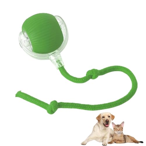 LUCKKY Doggocomfy Interactive Ball Small, Interaktives Katzenspielzeug Rollender Ball, 360 Grad Automatisch Rollender Haustierball, Wiederaufladbarer Katzenspielzeug mit 3 Modi & LED Licht (Grün) von LUCKKY