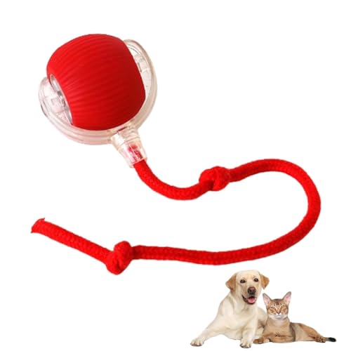 LUCKKY Doggocomfy Interactive Ball Small, Interaktives Katzenspielzeug Rollender Ball, 360 Grad Automatisch Rollender Haustierball, Wiederaufladbarer Katzenspielzeug mit 3 Modi & LED Licht (Rot) von LUCKKY