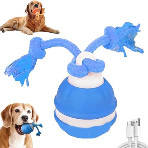 Power Tail 2.0 Dog Toy,Barkzys 2025 New Interactive Toy,Interaktives Hundespielzeug,Interaktiver Spielball für Hunde mit USB Wiederaufladbar,Quietschendes Hundespielzeug Active Rolling Ball (Blau) von LUCKKY