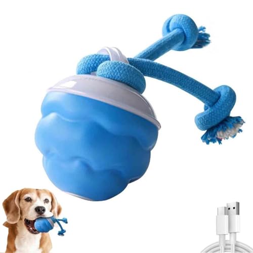 Power Tail 2.0 Dog Toy,Barkzys 2025 New Interactive Toy,Interaktives Hundespielzeug,Interaktiver Spielball für Hunde mit USB Wiederaufladbar,Quietschendes Hundespielzeug Active Rolling Ball (Blau-A) von LUCKKY