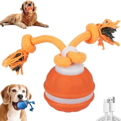 Power Tail 2.0 Dog Toy,Barkzys 2025 New Interactive Toy,Interaktives Hundespielzeug,Interaktiver Spielball für Hunde mit USB Wiederaufladbar,Quietschendes Hundespielzeug Active Rolling Ball (Orange) von LUCKKY