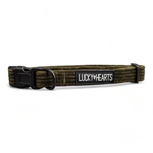 Lucky Hearts Halsband Luke (M, Khaki) von LUCKY HEARTS