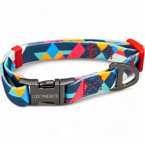 Lucky Hearts Halsband und Leinenset Rainbow Paws (M, blau) von LUCKY HEARTS