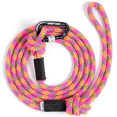 LUCKY LUCY Hundeleine reflektierend, 2m, reißfest aus robustem Polypropylen/Polyester bis 300 kg, mit Aluminium Karabiner für mittel & große Hunde, Leuchtendes Fuchsia von LUCKY LUCY