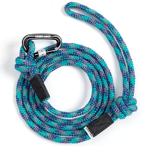 LUCKY LUCY Hundeleine reflektierend, 2m, reißfest aus robustem Polypropylen/Polyester bis 300 kg, mit Aluminium Karabiner für mittel & große Hunde, Seeblau von LUCKY LUCY