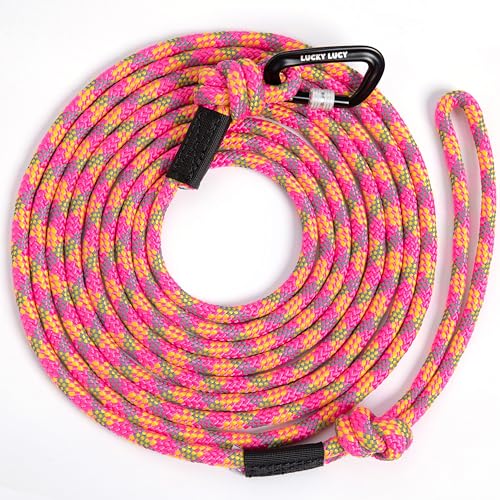 LUCKY LUCY Hundeleine reflektierend, 5m, reißfest aus robustem Polypropylen/Polyester bis 300 kg, mit Aluminium Karabiner für mittel & große Hunde, Leuchtendes Fuchsia von LUCKY LUCY