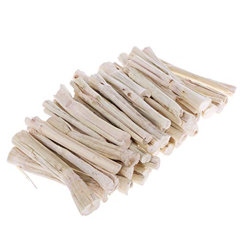 Sweet Bamboo Stick 500 g Haushalt Essen Kauen Snacks Zubehör für kleine Haustiere Zahntraining Zubehör von LUDAKE