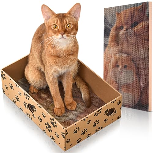 Katzenkratzer mit Box für Indoor-Katzen, Karton Katzenkratzbrett, Katzenkratzpad, Katzenbett für Indoor-Katzen Interaktives Lochdesign (1) von LUKITO