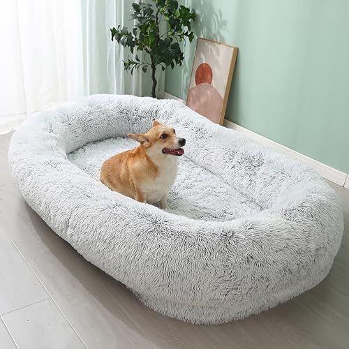 LULUMAIC Großes menschliches Hundebett für Menschen und Haustiere, 65 * 37 * 12 -Zoll -Plüsch -Riesen -Bohnensack -Hundebett für Menschengröße, Flauschiges Hundebett und Sofa Gemütliches von LULUMAIC