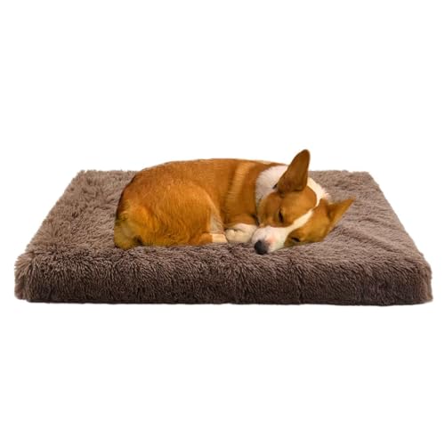 LULUMAIC Memory Foam Hundebett, orthopädisches Hundebett & Sofa, Flauschige Plüschhundmatratze mit Abnehmbarer waschbarer Abdeckung, Hundemattenmatratze mit Schlupfboden, Khaki, XL von LULUMAIC