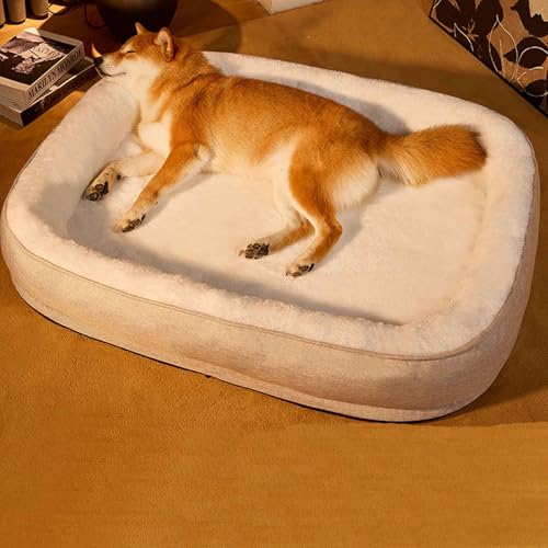 LULUMAIC Mittelhundbett waschbar, superweich gemütlich Hundebetten Haustierbett, Katzensofa -Bett mit Abnehmbarer Abdeckung und Nicht -Schlupfboden für kleine mittelgroße Hunde, Beige, XL von LULUMAIC