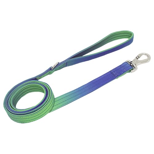LUMINFLY 150 cm lange Hundeleine mit Regenbogen-Farbverlauf, Nylon-Leine mit drehbarem Metallhaken und bequemem Griff zum Spazierengehen LUMINFLY 150 cm lange Hundeleine mit Regenbogen-Farbverlauf, Nylon-Leine mit drehbarem Metallhaken und bequemem Griff zum Spazierengehen von LUMINFLY
